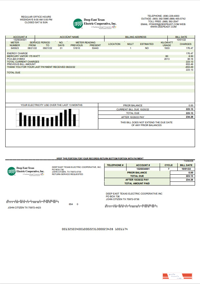 USA Deep East Texas Electric utility bill template in Word and PDF format
